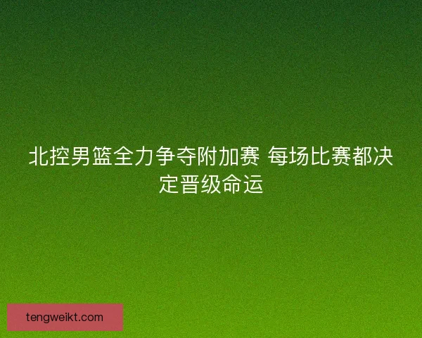 北控男篮全力争夺附加赛 每场比赛都决定晋级命运